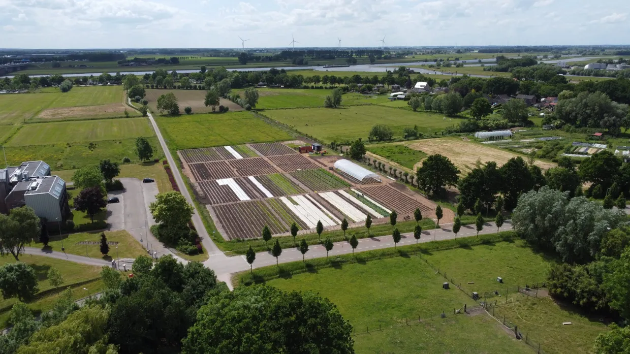 Zwolle