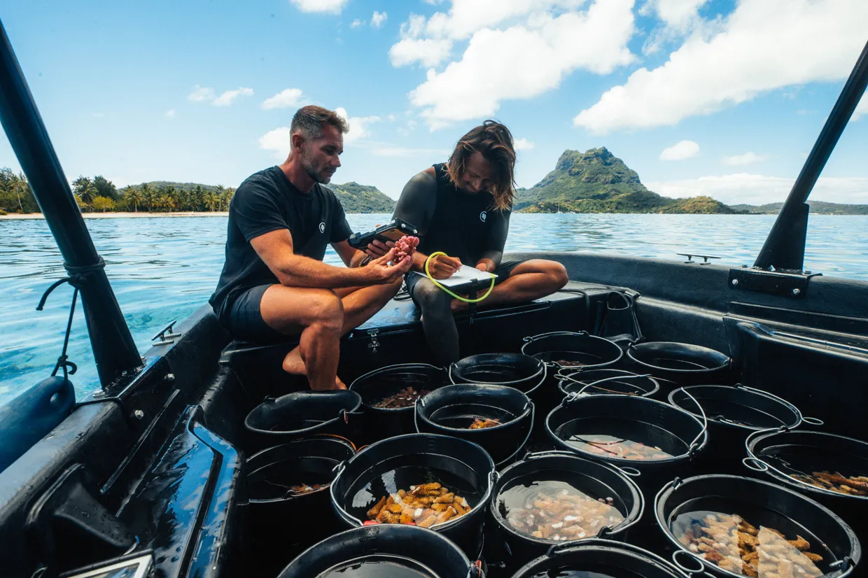 Bora Bora