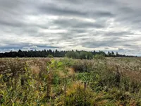 Montgreenan