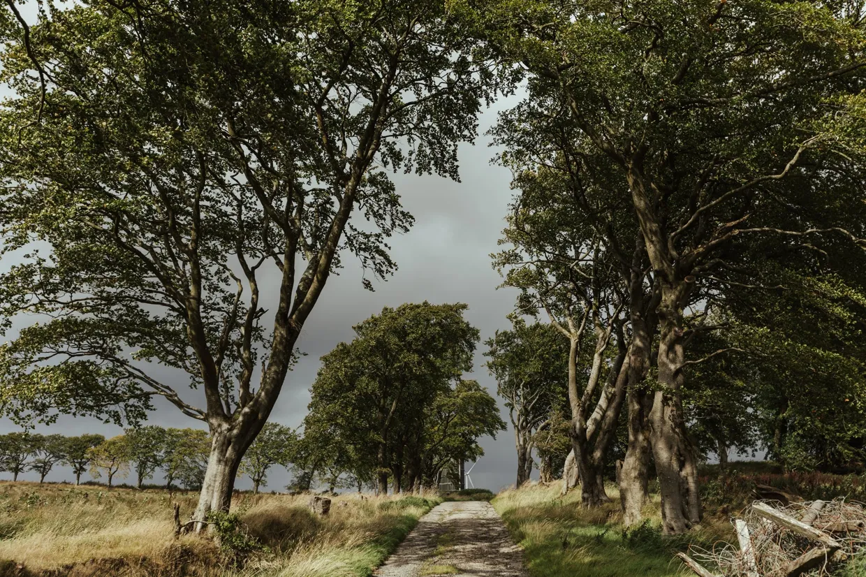 Leadloch