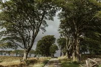 Leadloch