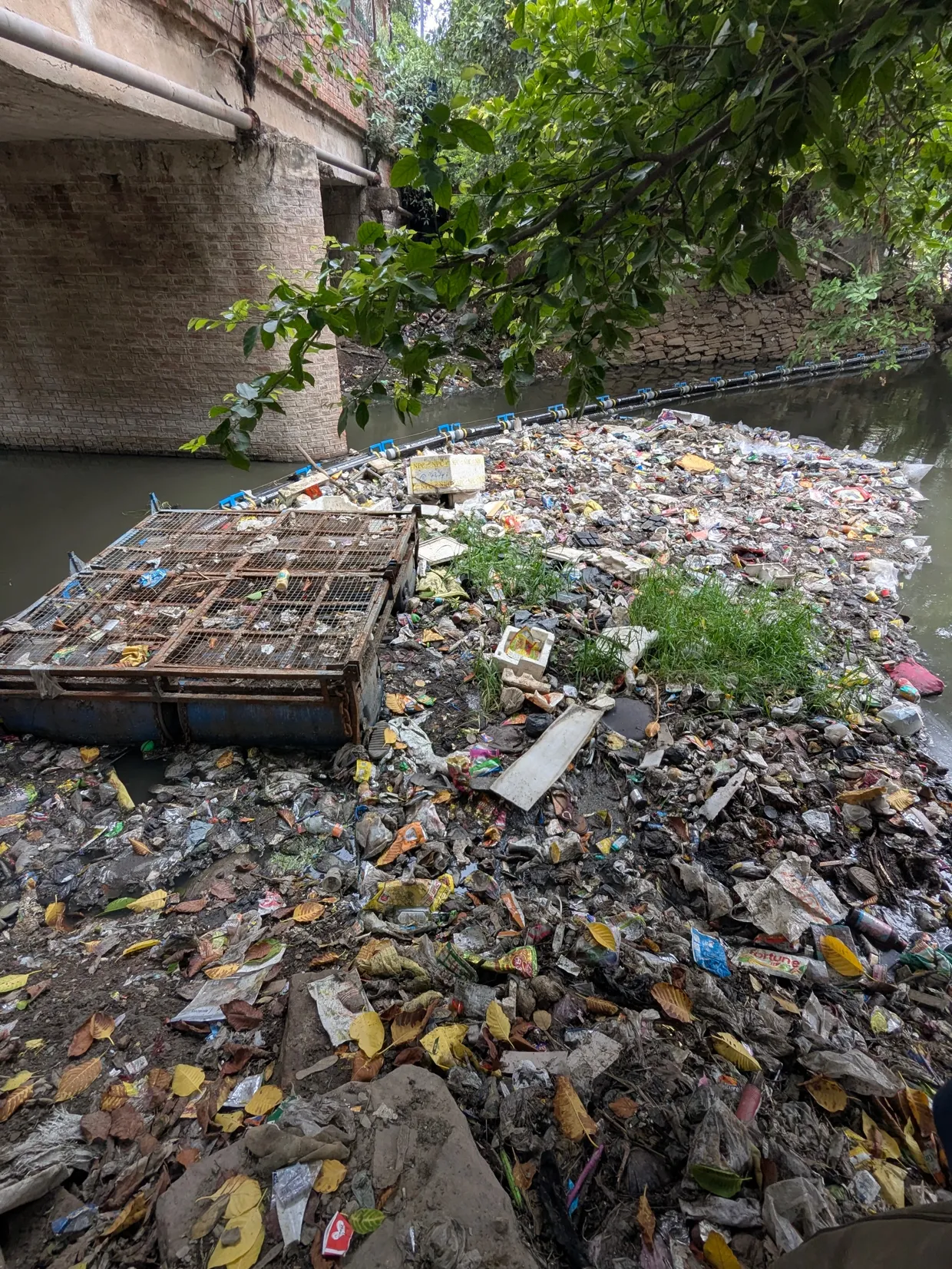 Ravidas Park