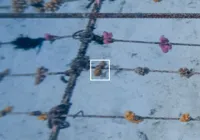 Proof 96