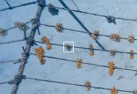 Proof 91