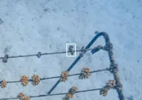 Proof 90