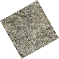 Proof 27